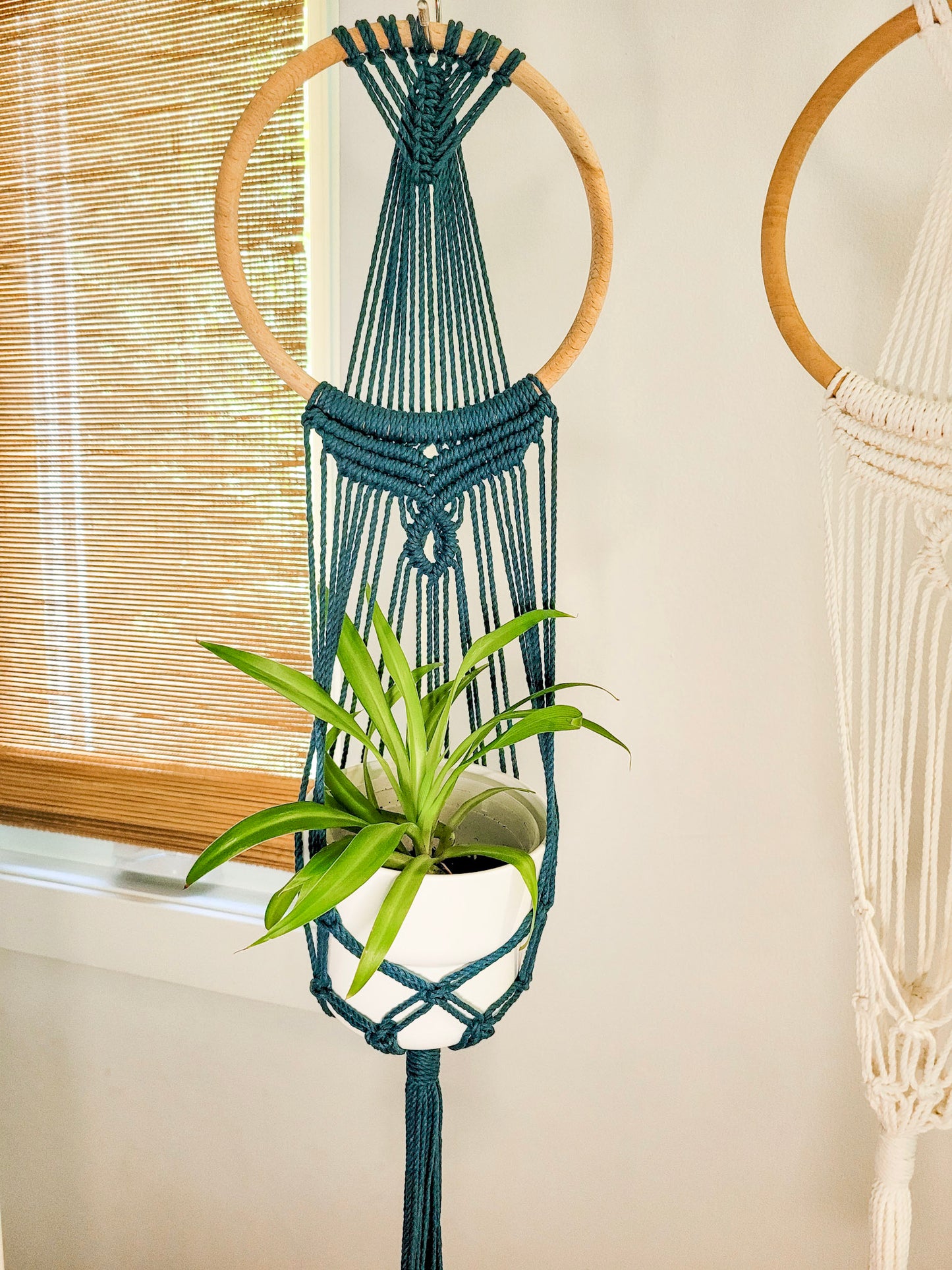 Jardinière murale anneau romantico