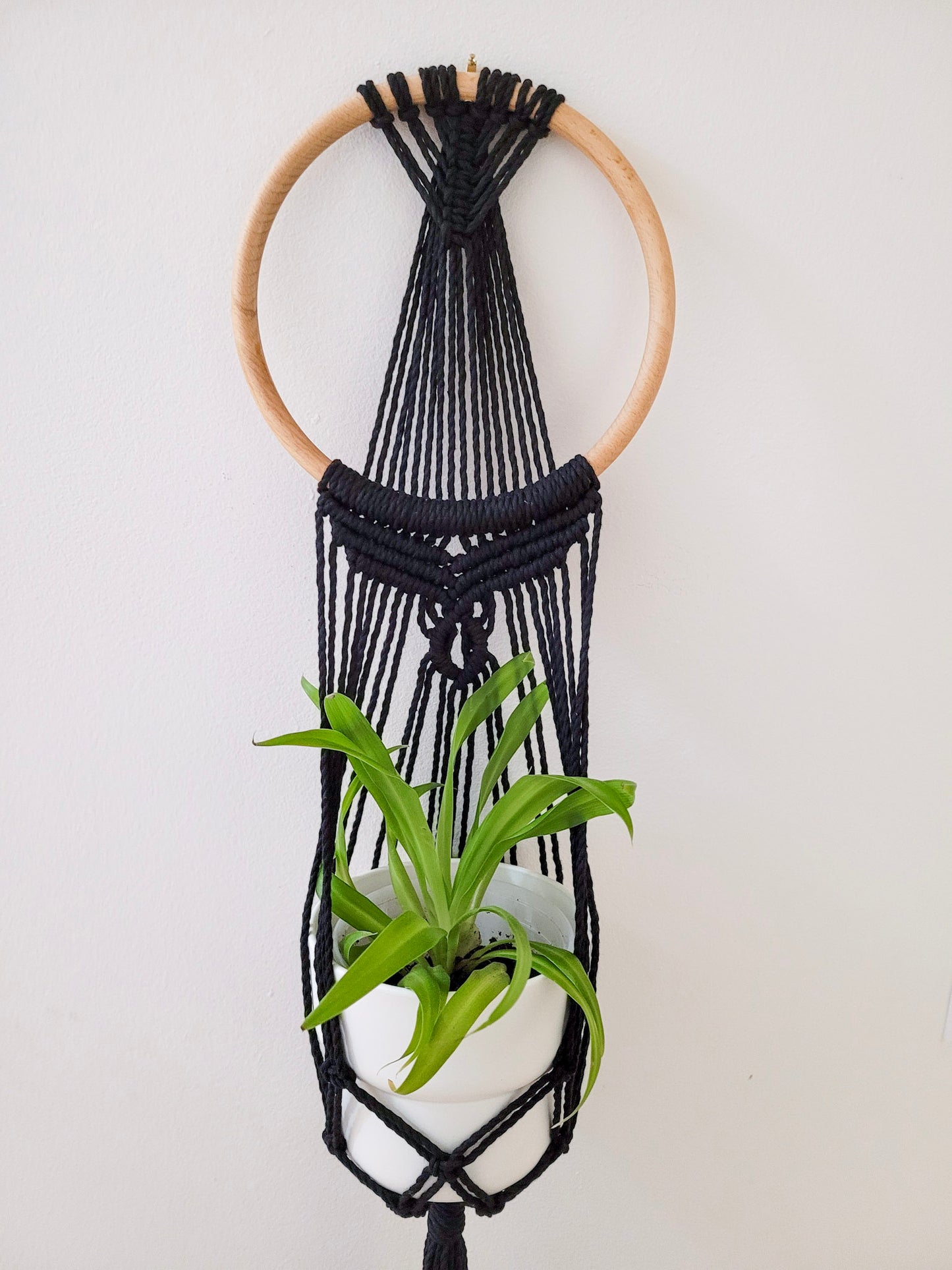 Jardinière murale anneau romantico