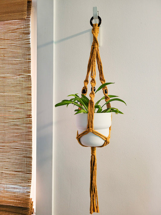 Jardinière perlipopette