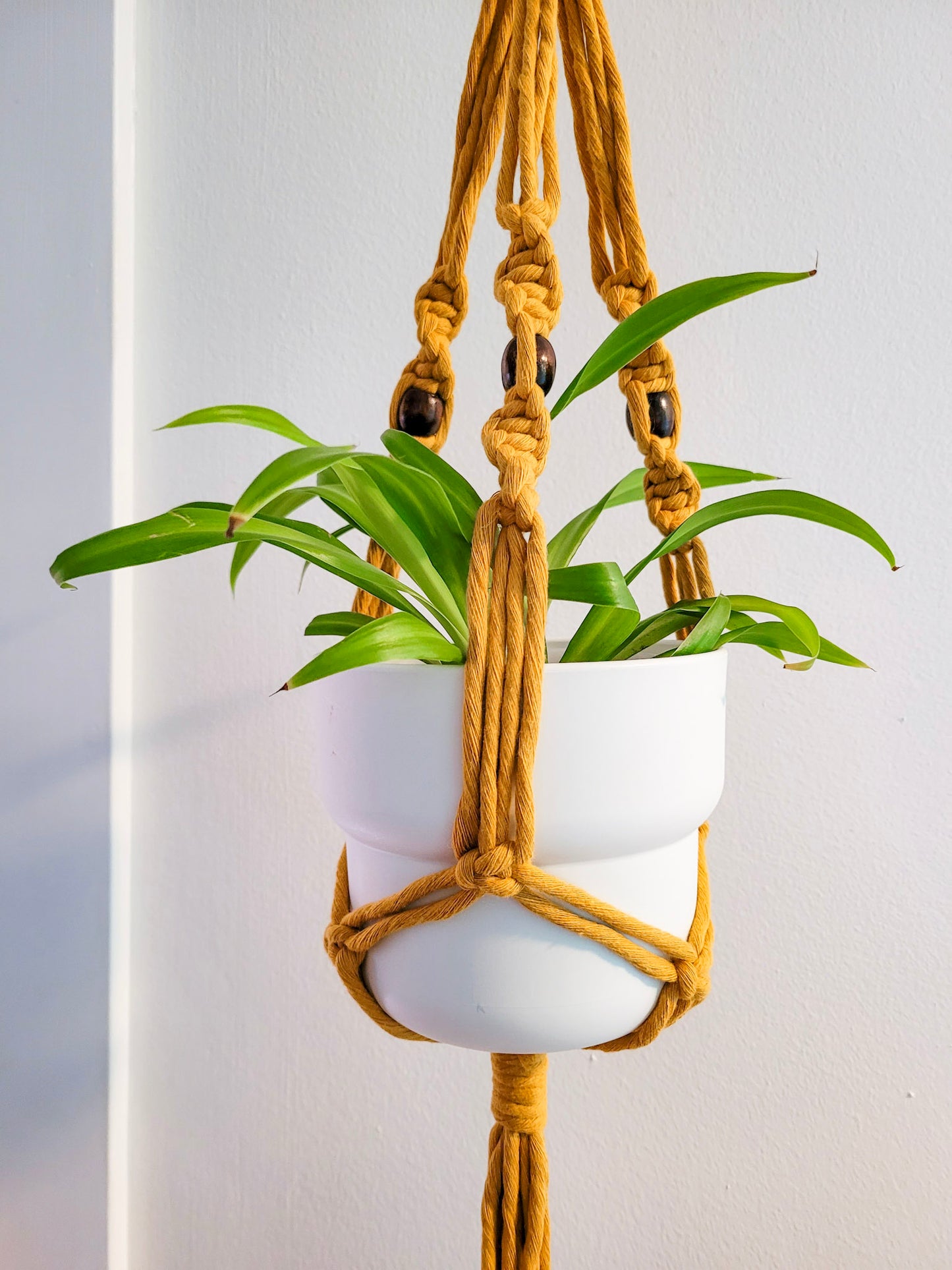 Jardinière perlipopette