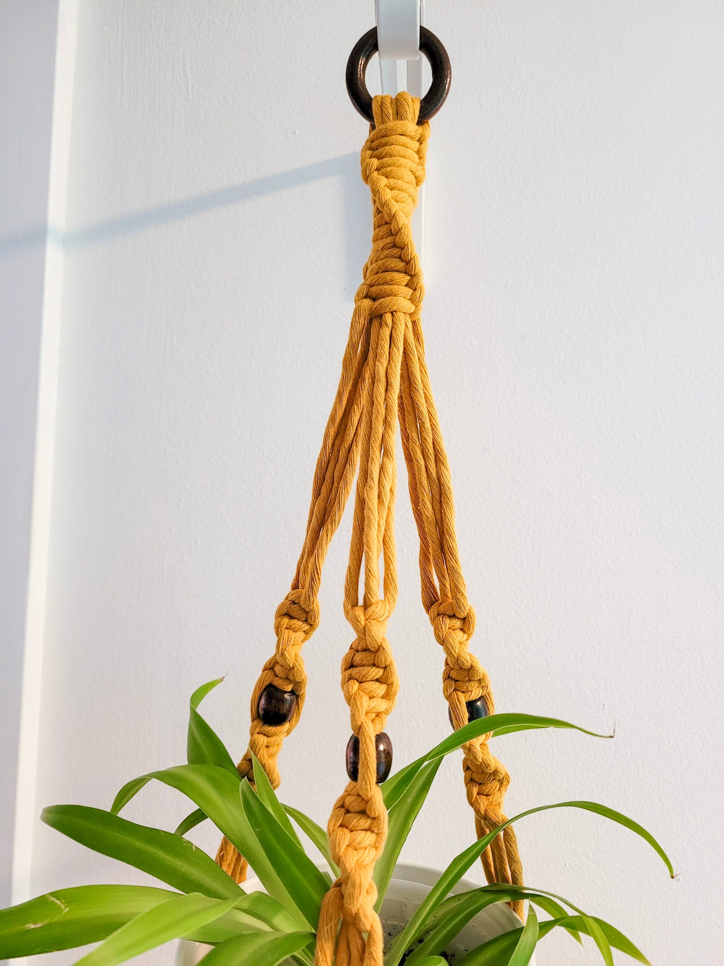 Jardinière perlipopette