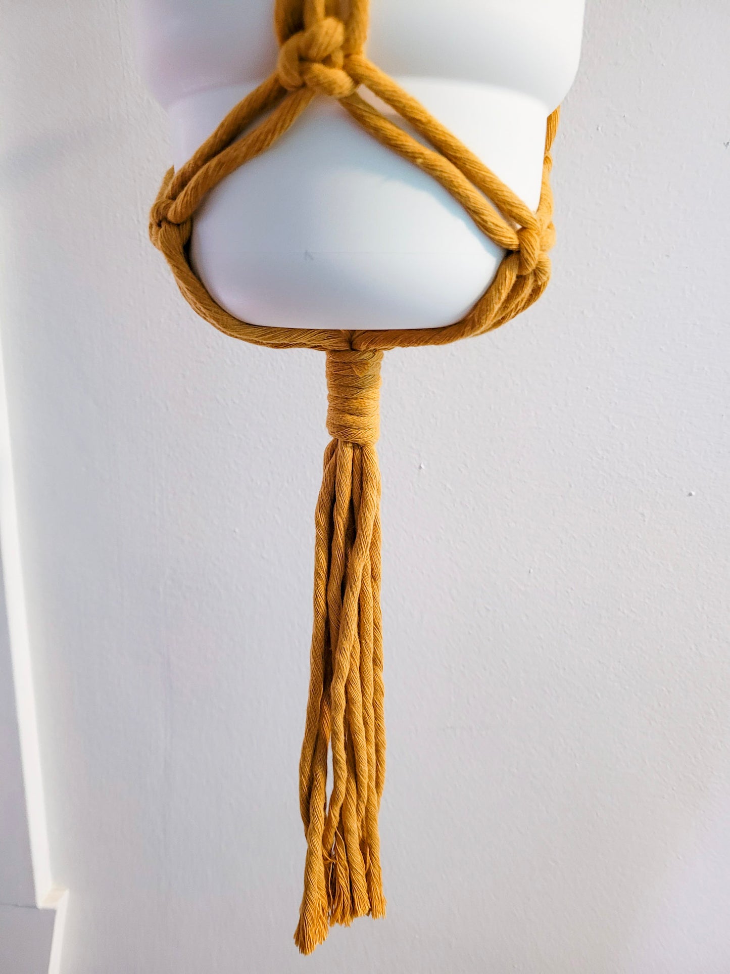 Jardinière perlipopette