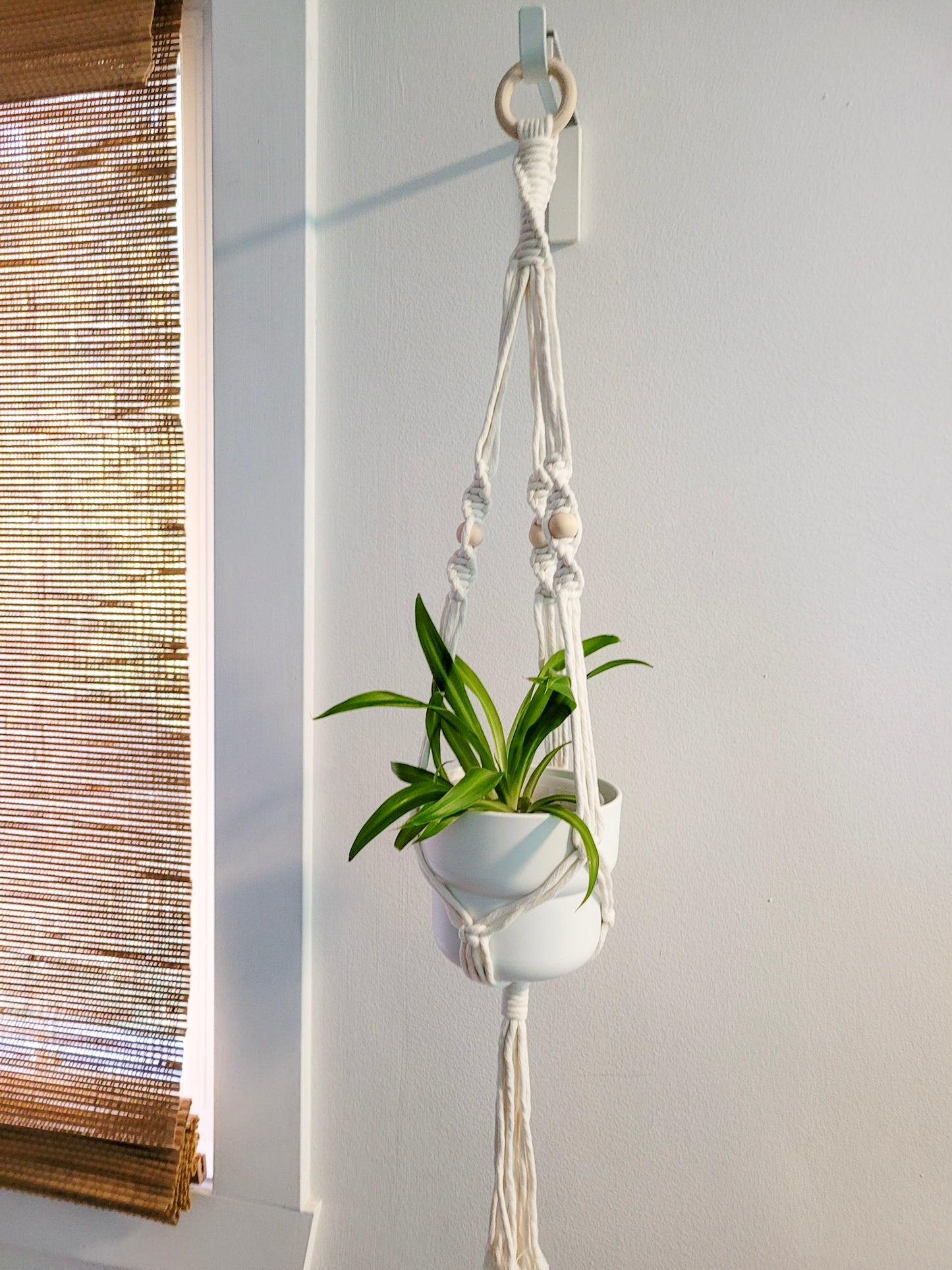 Jardinière perlipopette