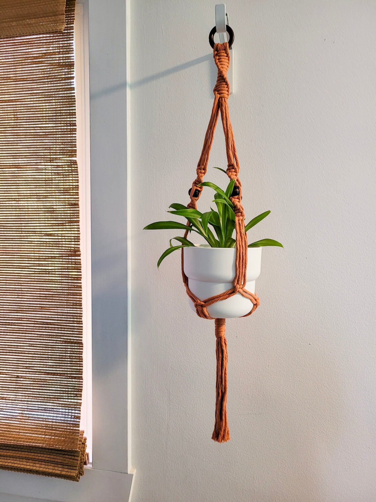 Jardinière perlipopette