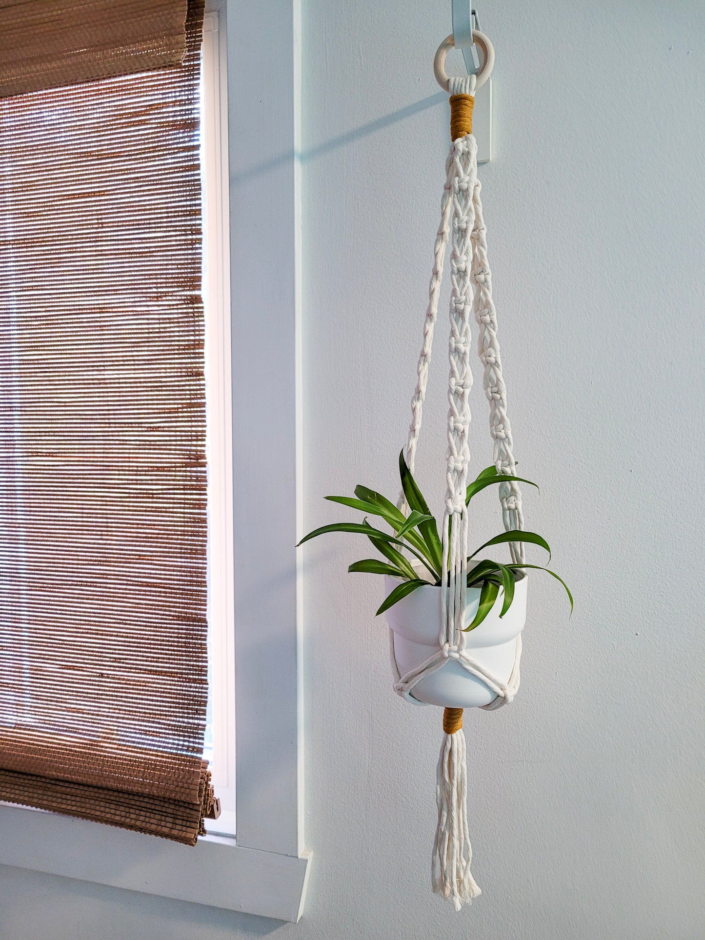 Jardinière pop corde