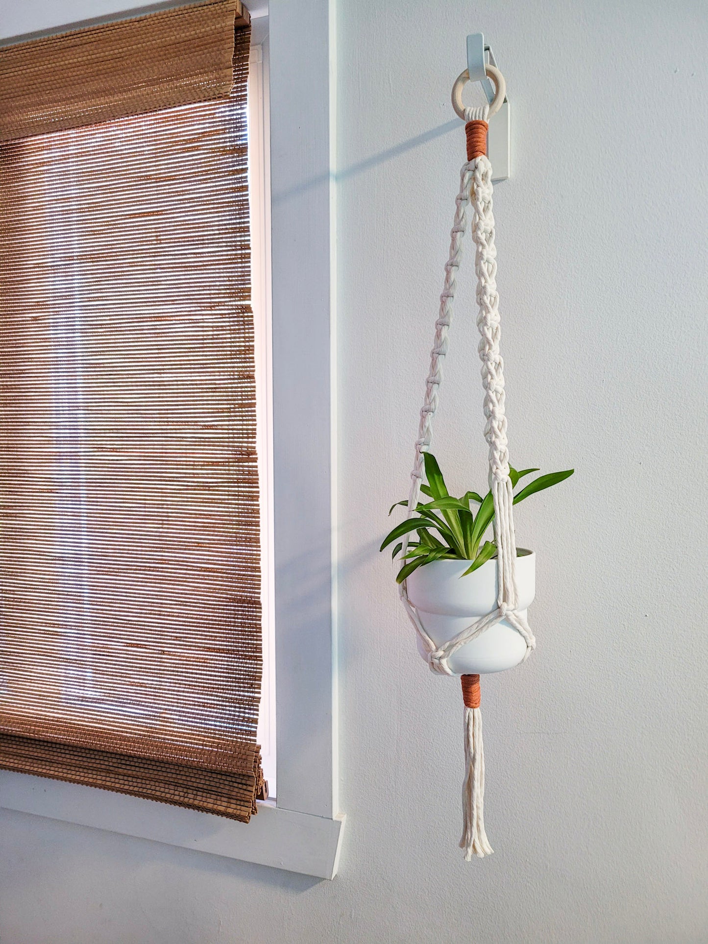 Jardinière pop corde