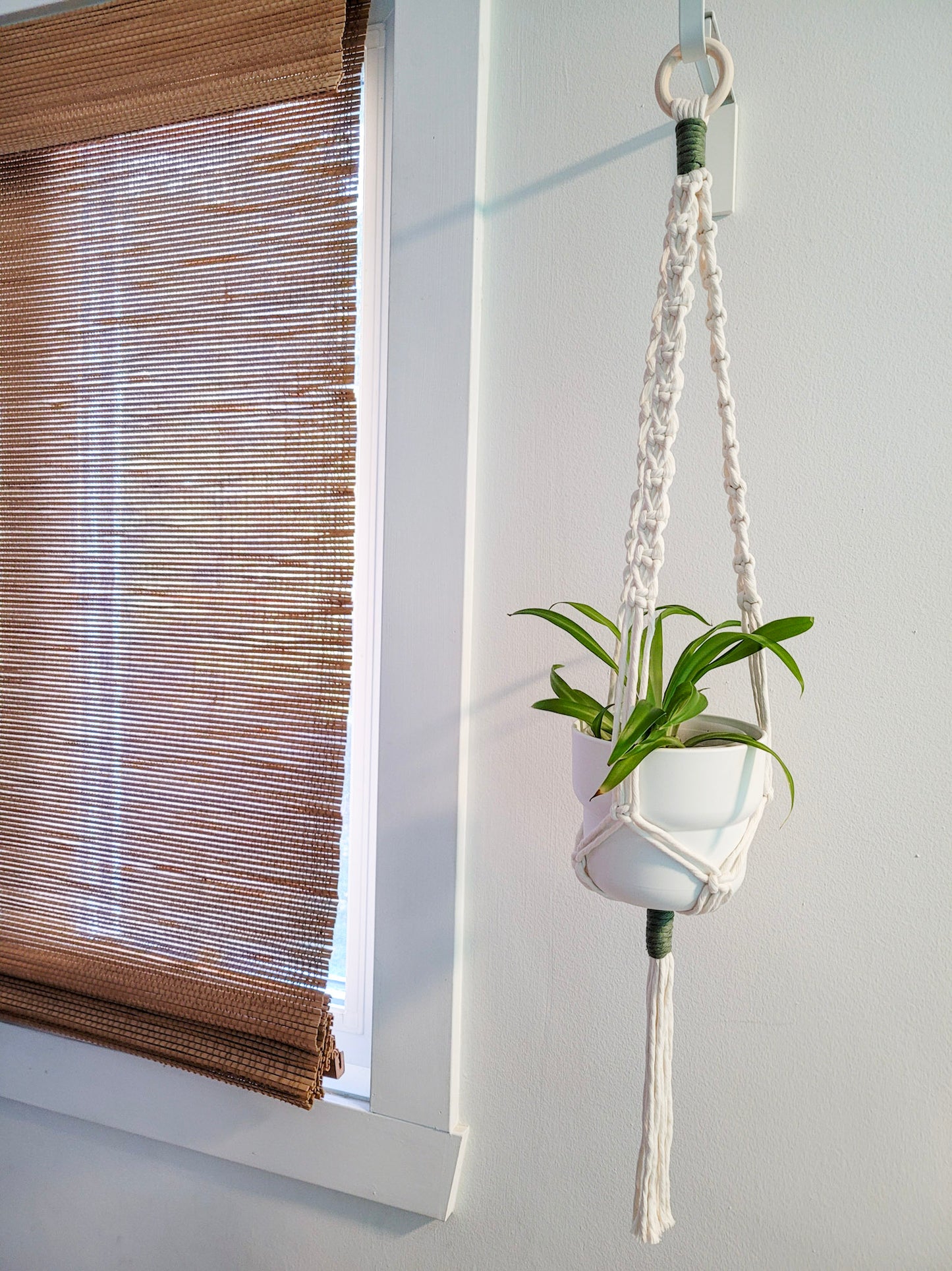 Jardinière pop corde