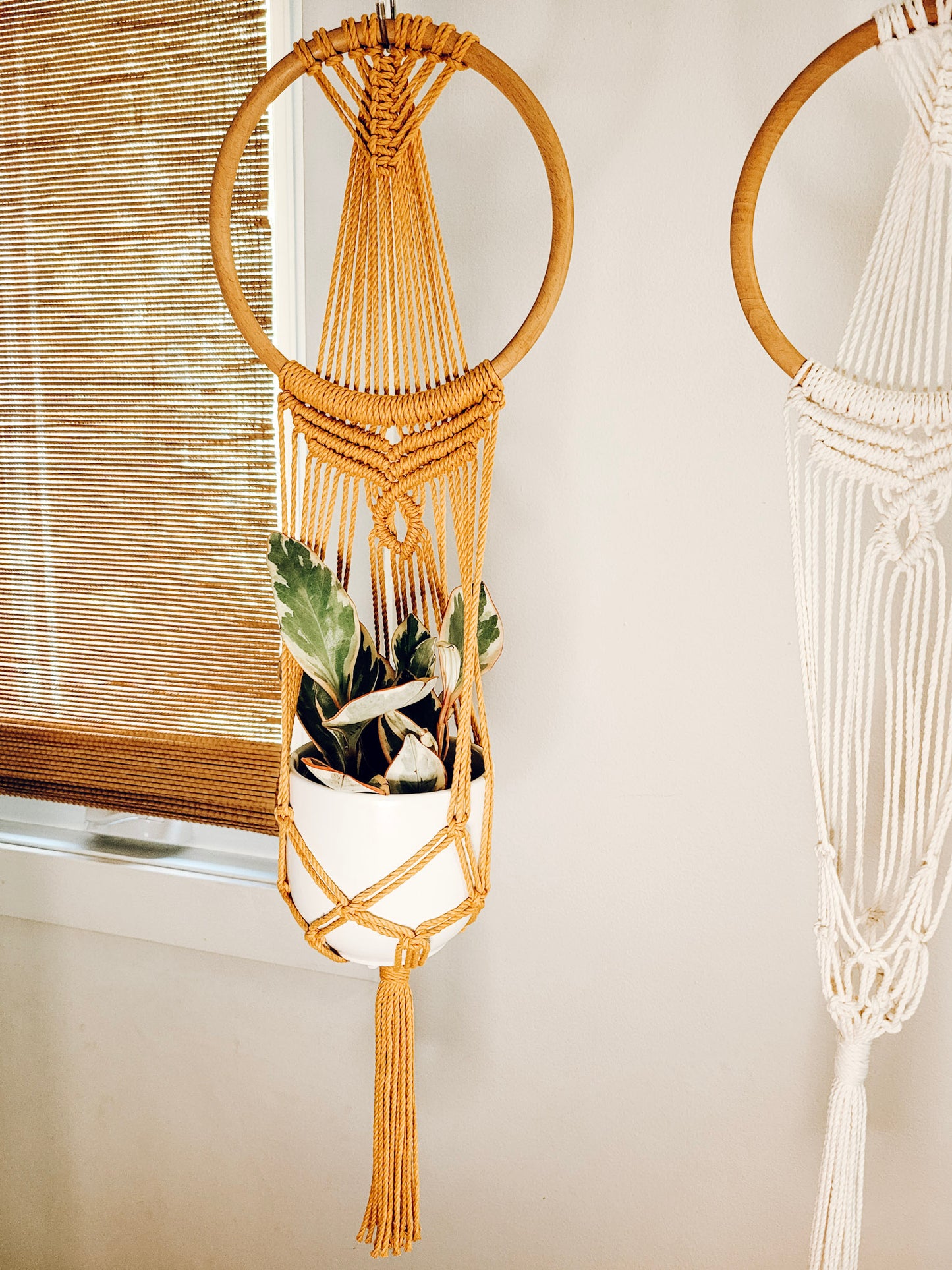 Jardinière murale anneau romantico