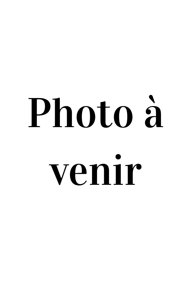 Boucles d'oreilles boho chic